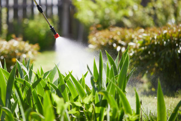 24/7 Emergency Cockroach Control experts in Lufkin, TX