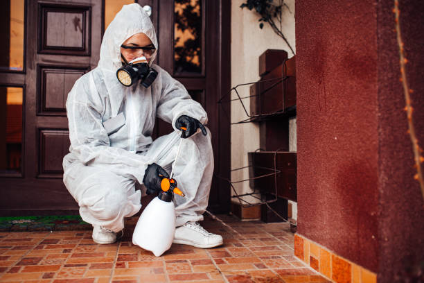 Reliable Cockroach Control contractor in Lufkin, TX by Nex Pest Control